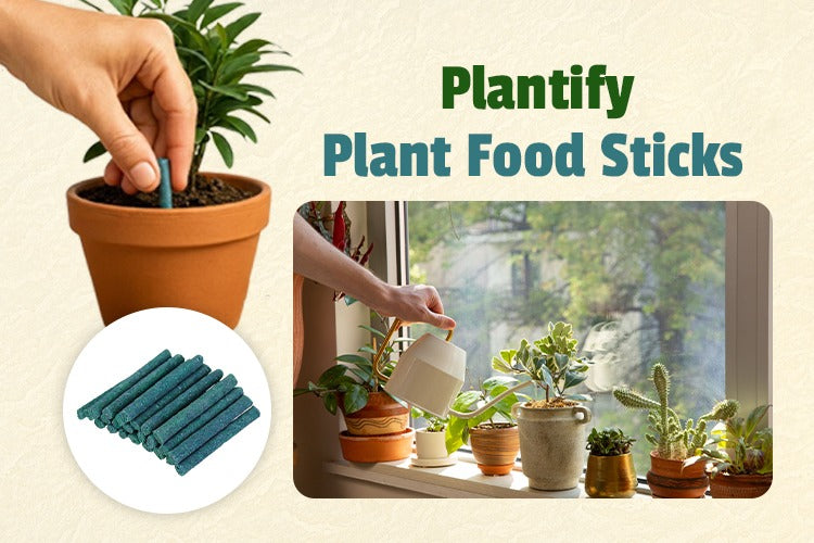 How to Care for Indoor Plants | Best Fertilizer & Plant Food Sticks   Plantify Garden