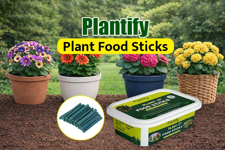 Best Plant Food Sticks for Indoor Plants | Easy Fertilizer Guide  Plantify  Garden