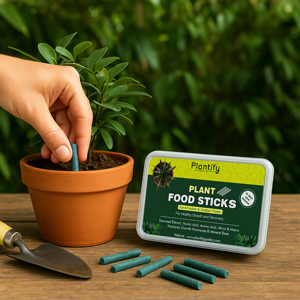 Plantify Plant Food Sticks – Organic Nutrition for Plants – Plantify Garden