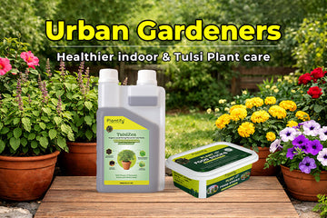 Fertilizer Sticks for Plants: A Simple and Natural Way to Keep Your Plants Healthy