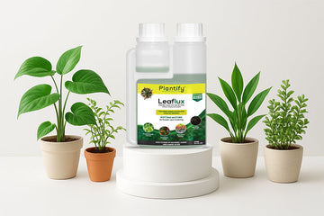 Plantify Leaflux – The Organic Plant Growth Booster for Strong Roots & Higher Yields