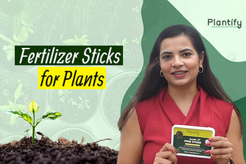 Fertilizer Sticks for Plants: The Easiest Way to Keep Your Garden Thriving