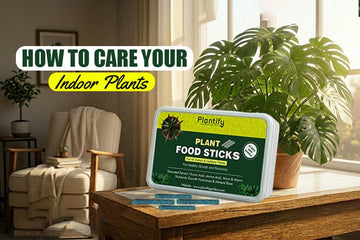 How To Grow Plants Faster and Bigger At Home