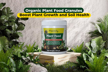 Organic Plant Food Granules: The Natural Way to Boost Plant Growth and Soil Health