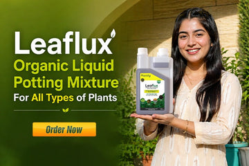 Best Organic Liquid Fertilizer Guide: Boost Indoor Plant Growth Naturally