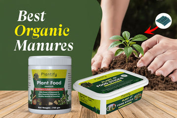 Best Organic Manures to Support the Growth of Your Plants