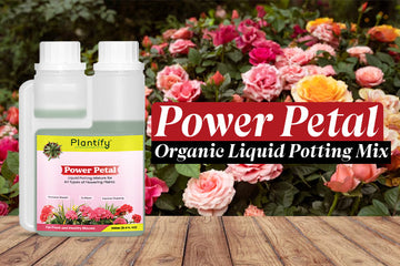 Plantify Power Petal: The Ultimate Organic Liquid Potting Mixture for Healthy Flowering Plants