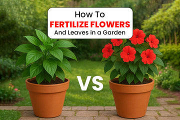 What kind of fertilizer should I use for my Foliage plants vs. Flowering plants, and when should I avoid fertilizing?