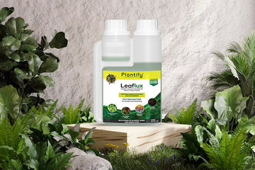 Care Tips to Ensure Your Plants Stay Happy and Vibrant!