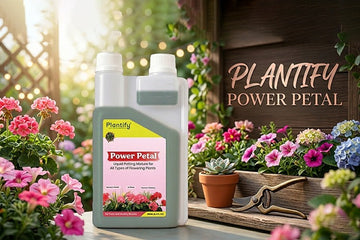 How to Use Plantify Power Petal for Faster Growth and More Blooms