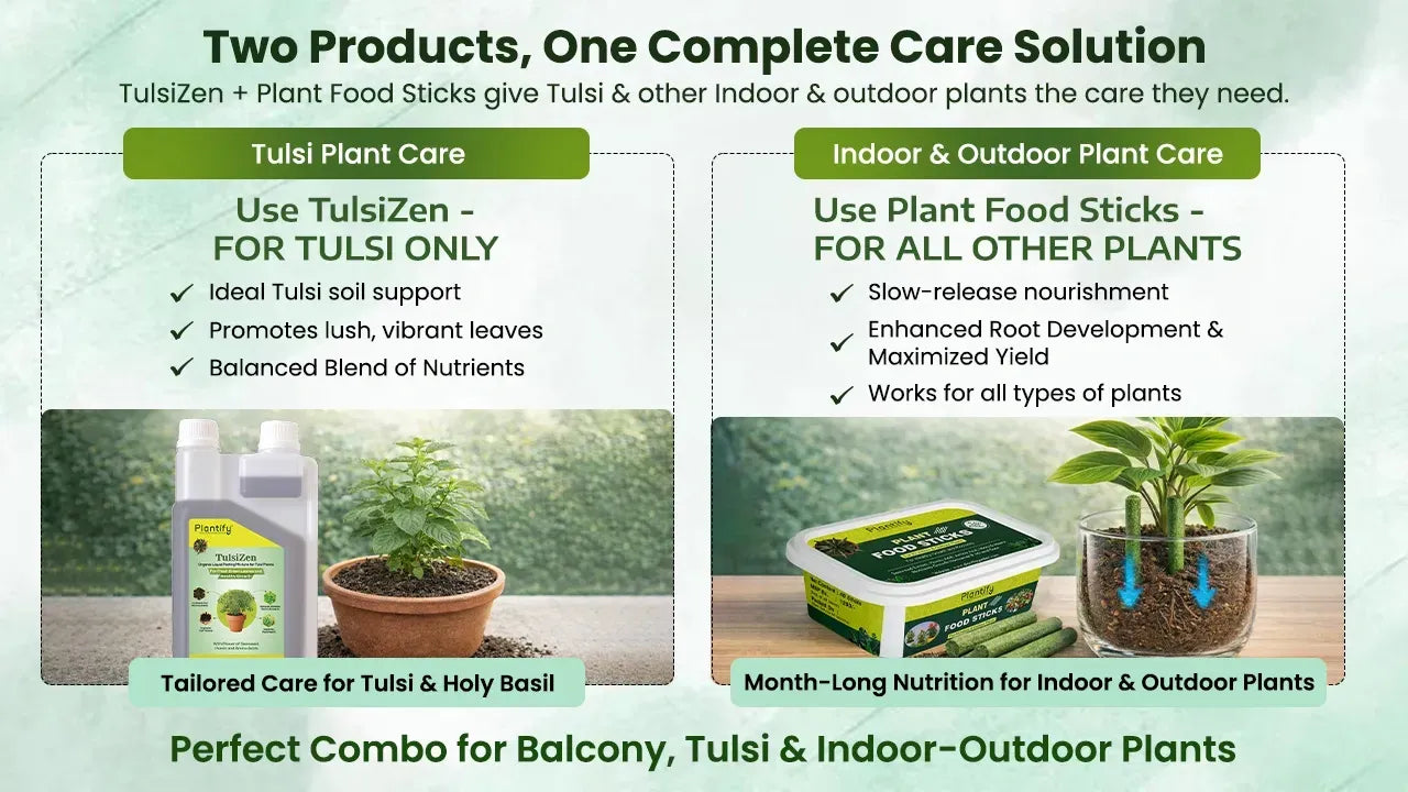 stick fertilizer for indoor plants Fertilizer Stick for Plants