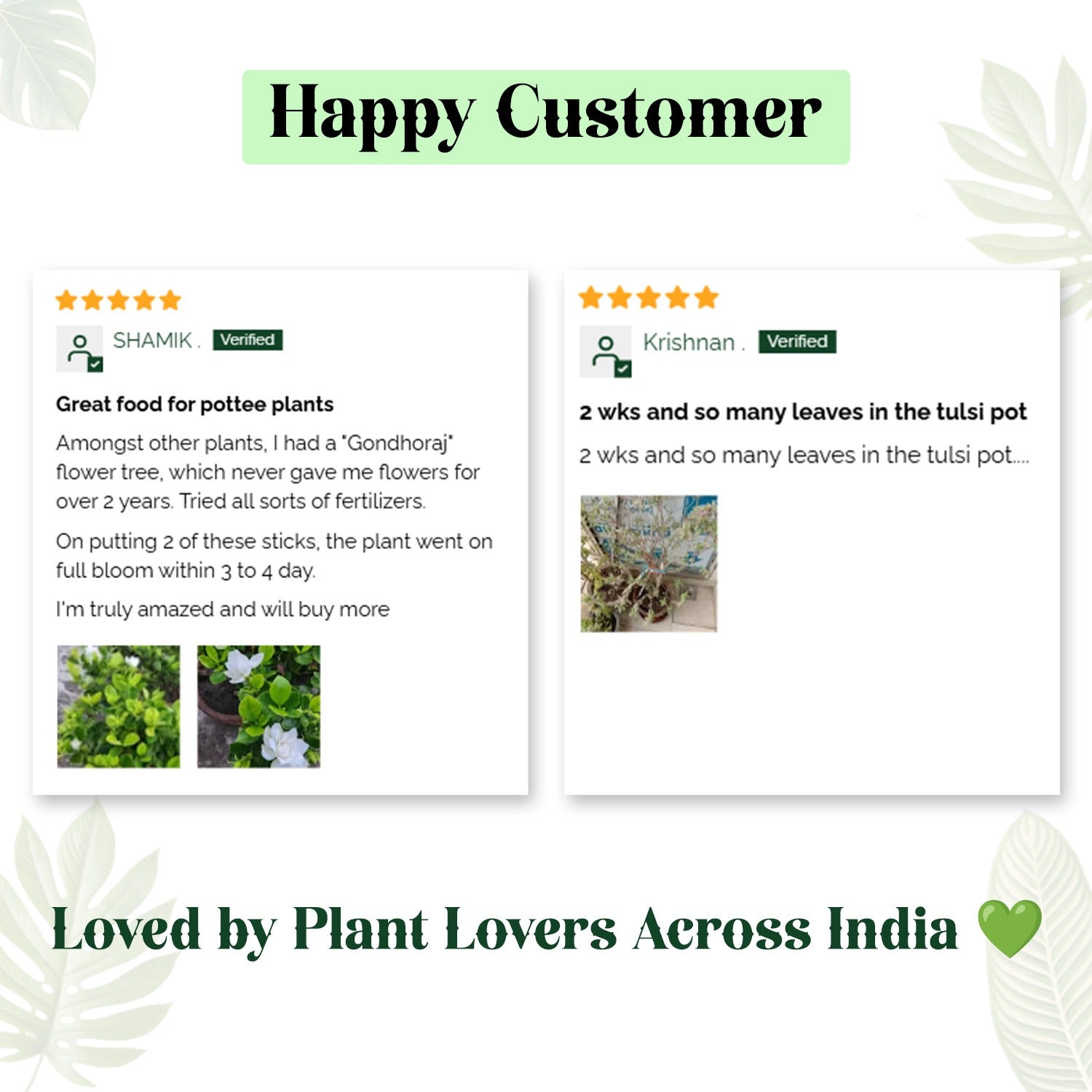 Fertilizer Stick for Plants | Organic Liquid Potting Mixture