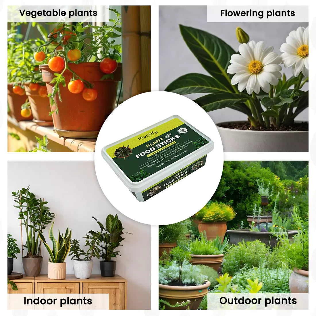 Plantify Plant Food Sticks – Organic Nutrition for Plants – Plantify Garden