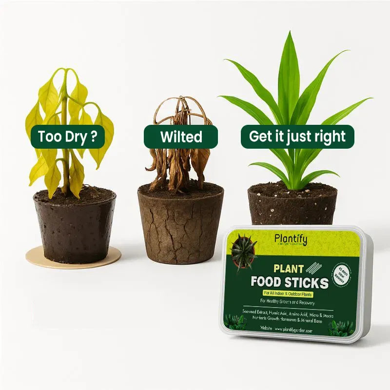 Fertilizer Stick for Plants | Organic Liquid Potting Mixture