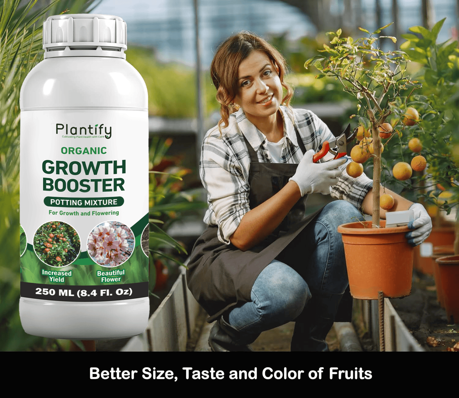 Plant Food Sticks - All-Purpose Plant Nutrition – Plantify Garden