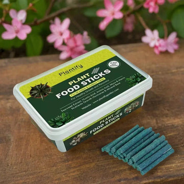 Plantify Plant Food Sticks - Organic Indoor Plant Nutrition