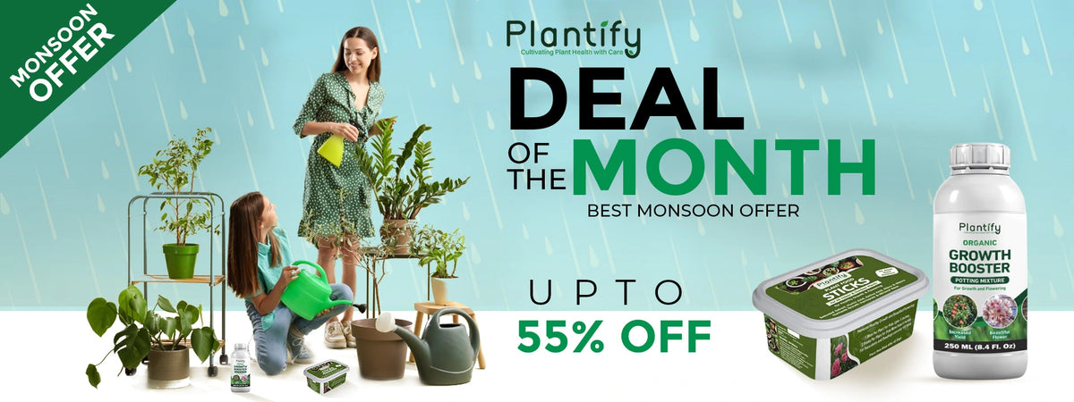 Plantify Garden