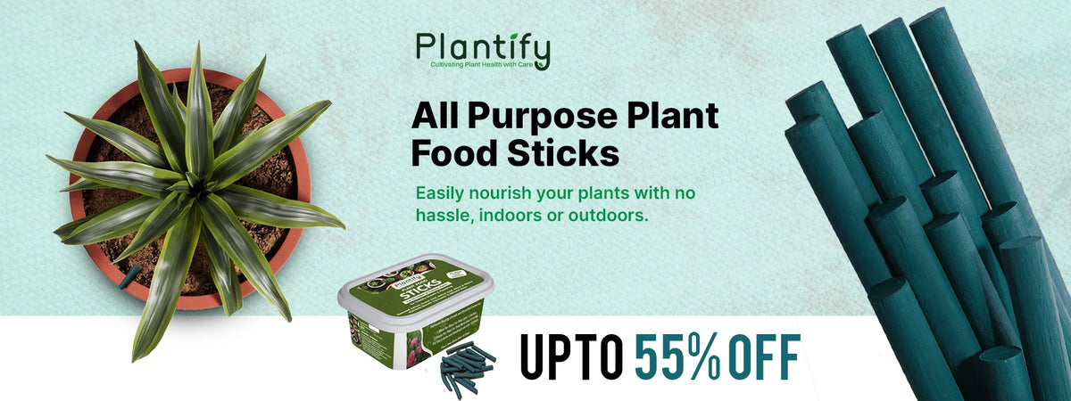 Plant Food Sticks - All-Purpose Plant Nutrition – Plantify Garden