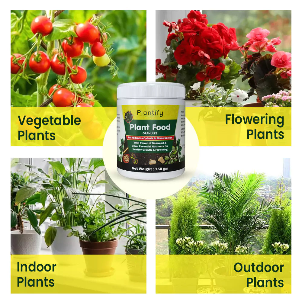 Plant Food Granules - Balanced Nutrient for Plant Growth