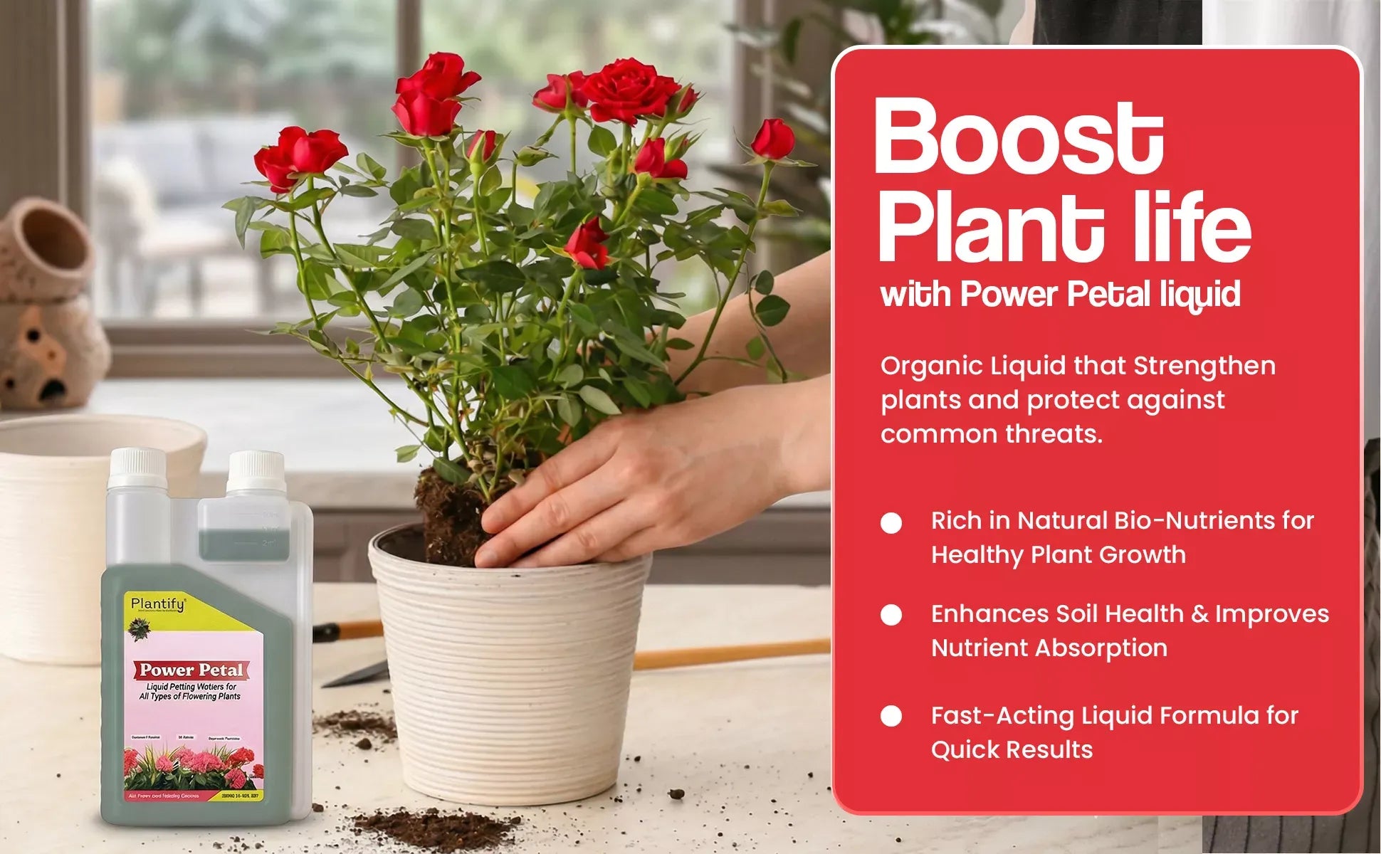 flower power potting mix Power Petal – Organic Liquid Potting Mixture for Flowers – Plantify Garden