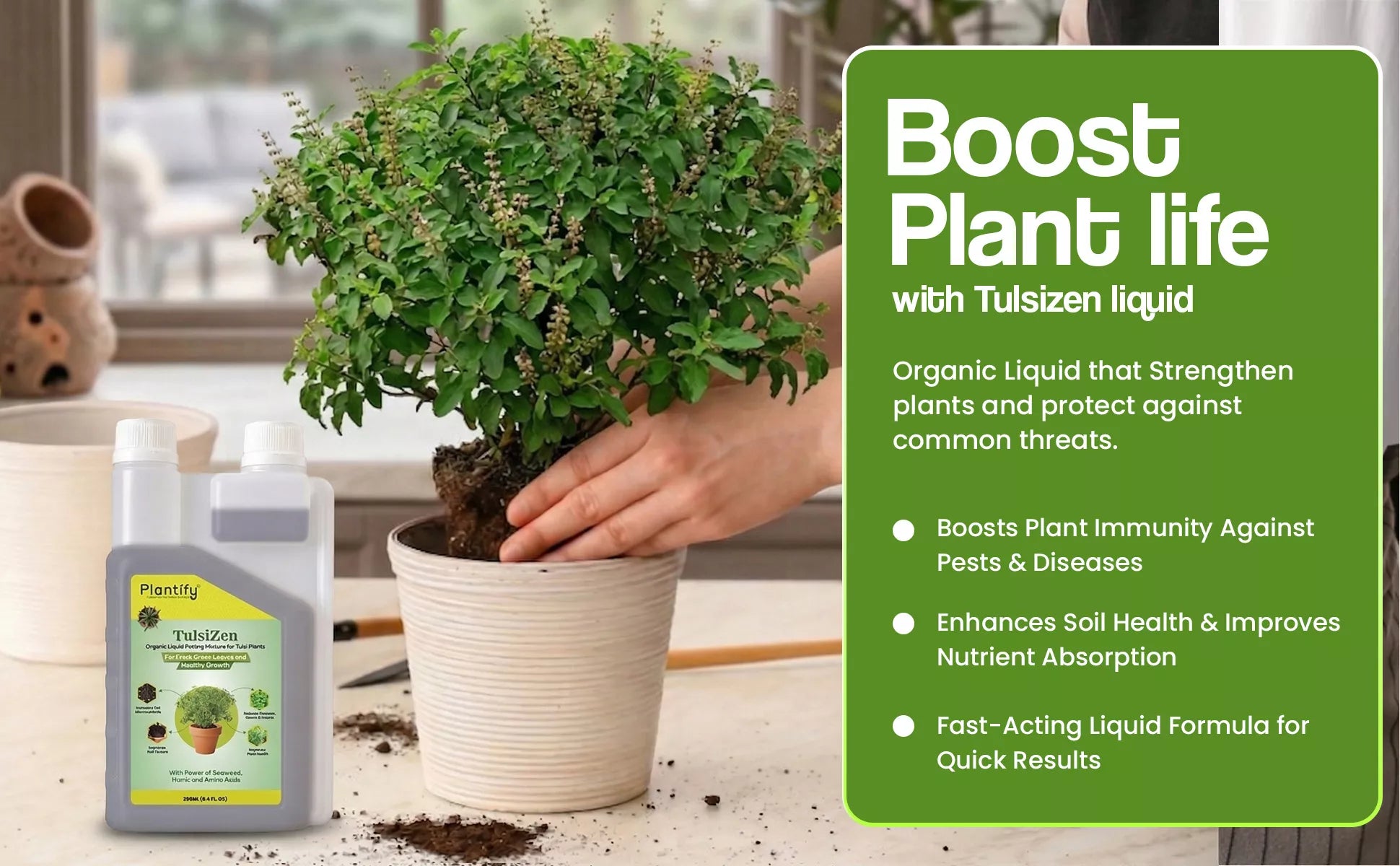 potting mix for tulsi plant Tulsi Plant Fertilizer